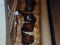 photos 2000-200902567